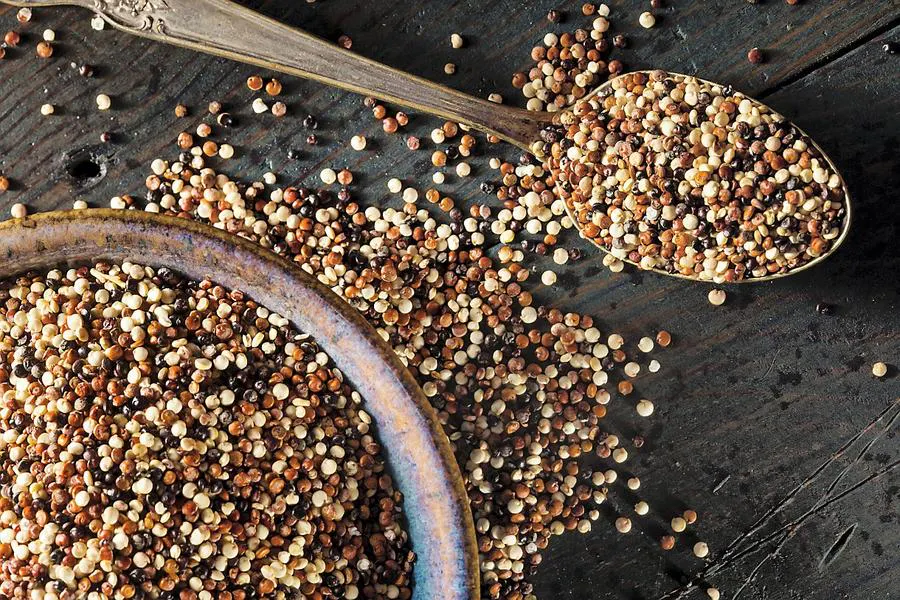 Quinoa Comment Le Cuisiner