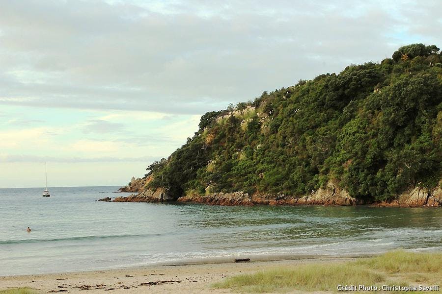 Voyage Culinaire En Nouvelle Zelande Specialite Cuisine Plat Regal