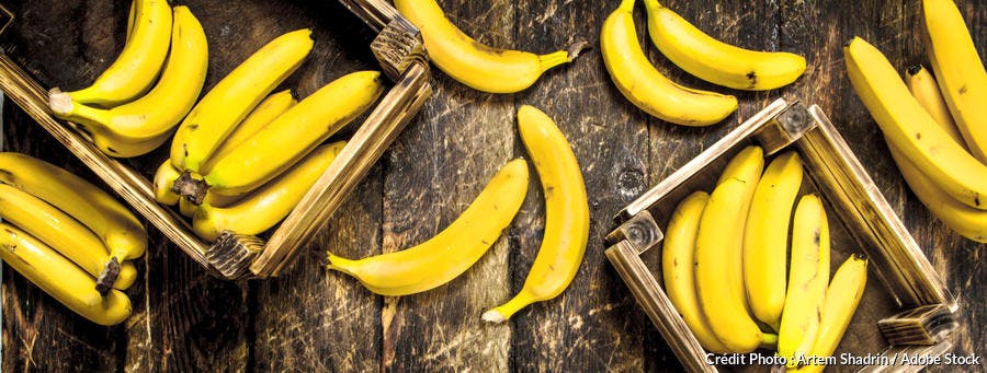 Banane plantain non mûre RÉGIME KG