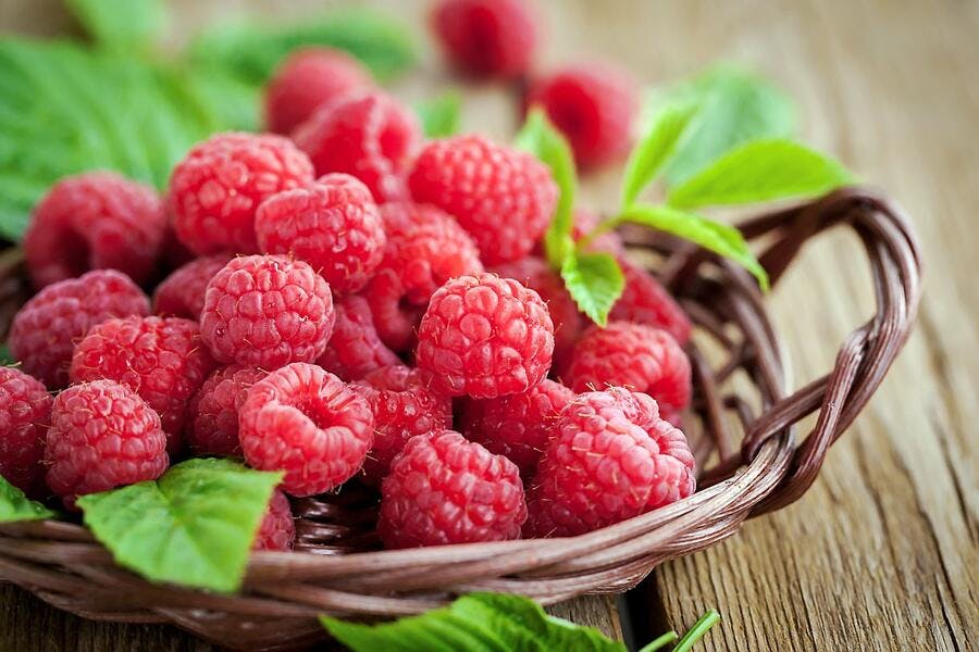 Recettes Avec Framboises Que Faire Avec Des Framboises Regal Recettes Avec Framboises Que Faire Avec Des Framboises Regal