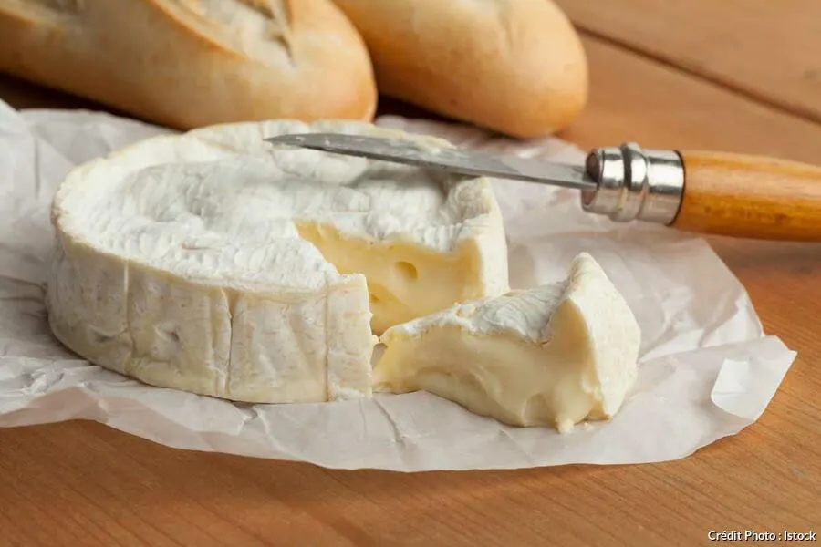 Potimarron farci au Camembert : recette gourmande Potimarron farci au Camembert : recette gourmande