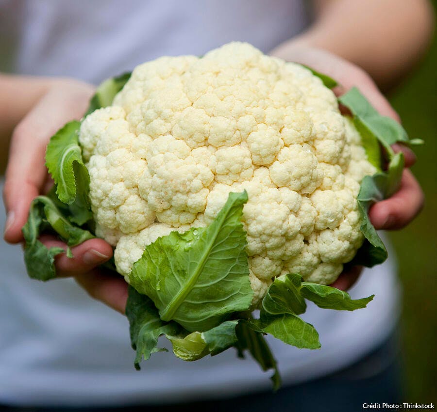 Comment Cuisiner Le Chou Fleur Regal Comment Cuisiner Le Chou Fleur Regal