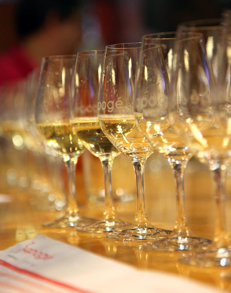 Champagne : conseils et sélection - Régal