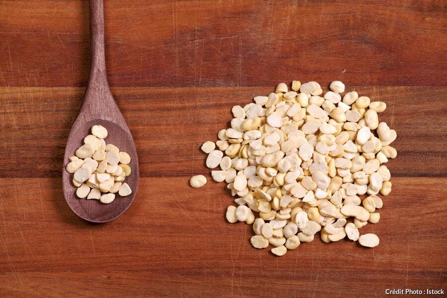Comment Cuisiner Les Feves Regal