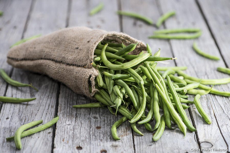 Cuisson Haricots Verts Decouvrez Comment Cuire Haricots Verts Elle A Table