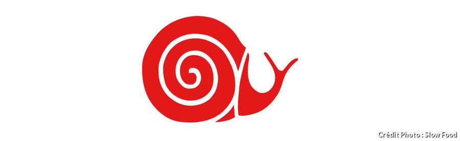 logo2.jpg 