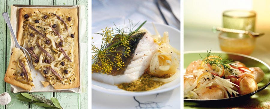 Fenouil Comment Cuisiner Le Fenouil 4 Methodes De Cuisson Regal Fenouil Comment Cuisiner Le Fenouil 4 Methodes De Cuisson Regal