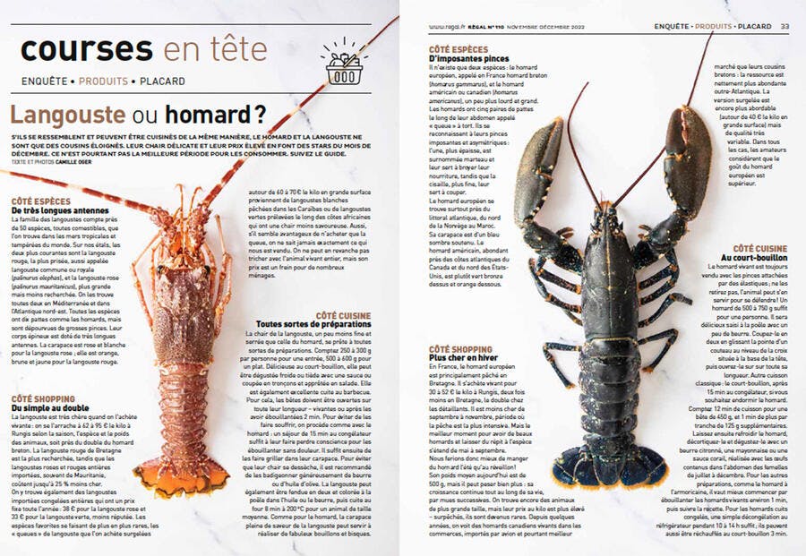 Article sur la langouste et le homard (n°110) 
