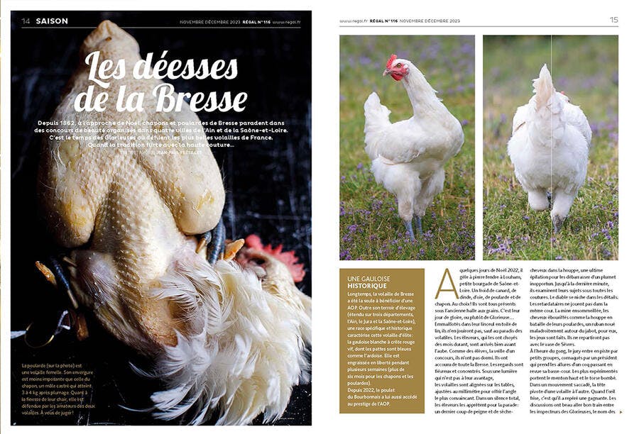 Extrait du magazine n°116 : les volailles de Bresse 