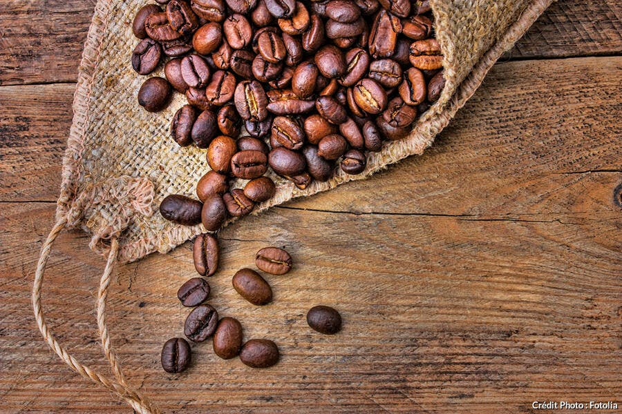Types de grains de café et récolte
