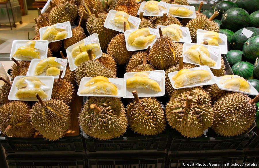 r59_singapour-durian_fo.jpg 