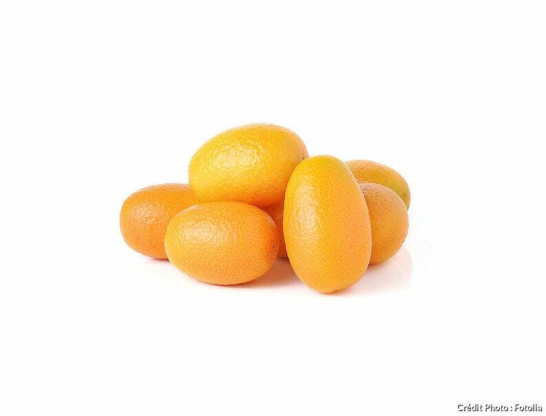 Kumquat Un Agrume A Croquer Regal