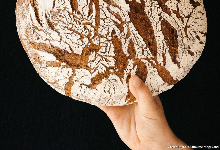 Réussir pains et pâtisseries au levain naturel: Recettes, conseils et tours  de main
