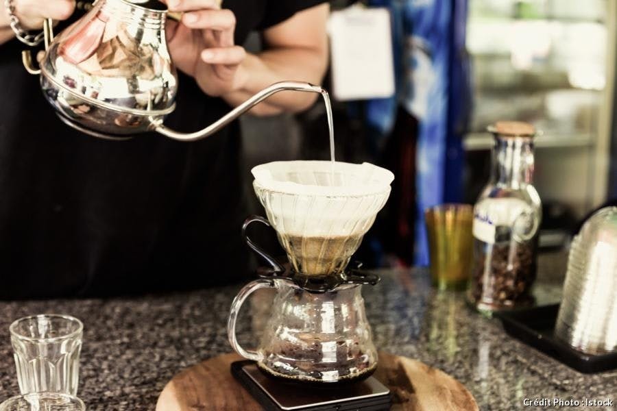 Le Cafe Par Infusion Lente Regal Le Cafe Par Infusion Lente Regal