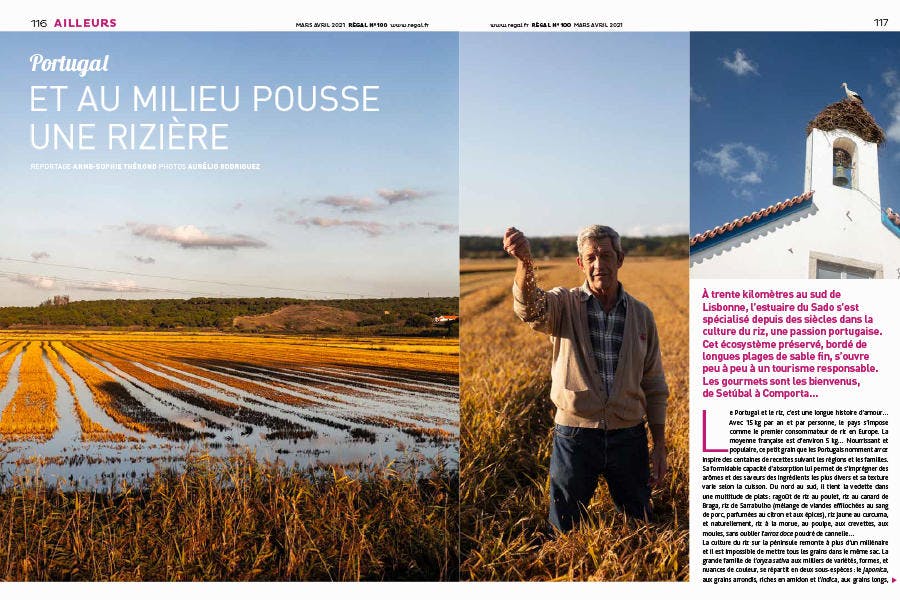 Magazine Régal n° 100 / Les rizières du Portugal 