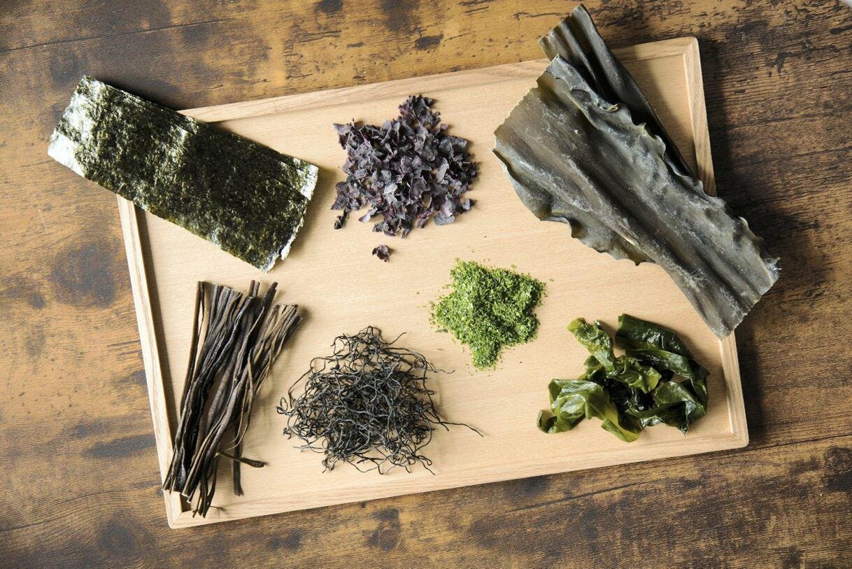 Top 7 des meilleures algues alimentaires à cuisiner Régal Top 7 des meilleures algues alimentaires à cuisiner Régal