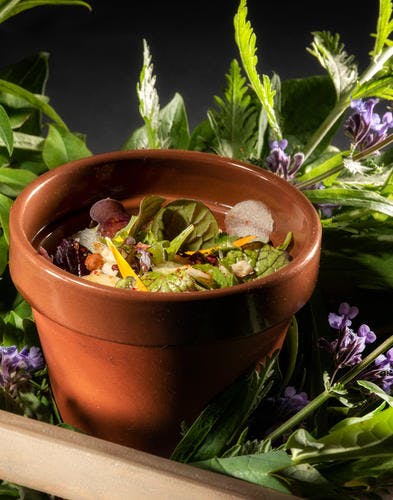 Entremet potager, salades et herbes de Monsieur Raillon, sauce crémeuse 