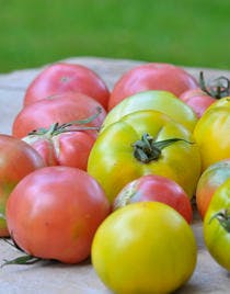 Velouté de tomates vertes à la vanille