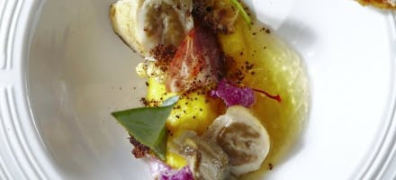Chou-fleur, huître et safran du Morbihan