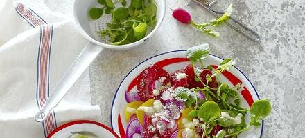 Salade de betteraves, radis et bresaola