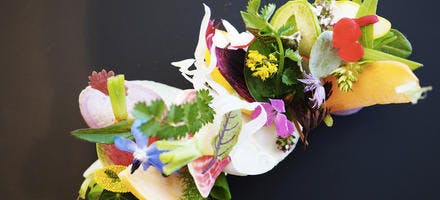 Tartelettes de légumes de Provence au caillé de chèvre et herbes du jardin