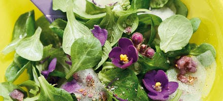Salade de mâche et poire, vinaigrette de violette