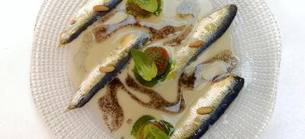 Sardines marinées et crème d'horchata