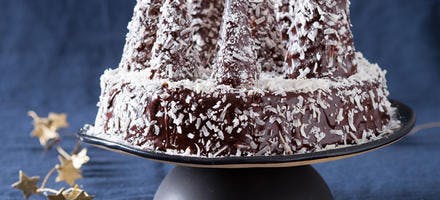 Gâteau sapin au chocolat, neige de coco 