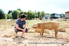 R76-reportage-nantes-porc-cochon_llg.jpg 