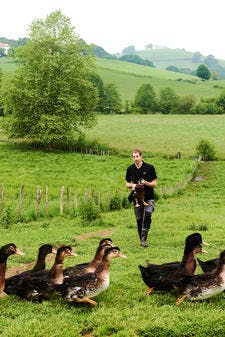 Élevage de canards - Pays Basque