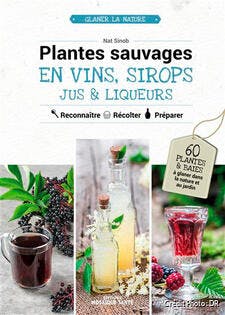 Livre : Plantes sauvages en vins, sirops, jus et liqueurs, de Nat Sinob, éd. Mosaïque-Santé.