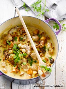 Mijoté de veau aux champignons