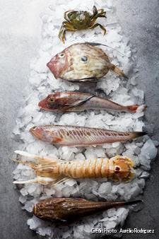 poissons pour la bouillabaisse