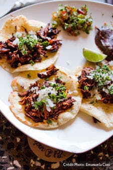 Tacos de porc effiloché