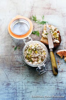 Rillettes de maquereau à l’aneth et au citron confit