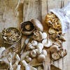Comment cuisiner les champignons ? 