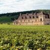 Bourgogne : recettes et spécialités d’une région viticole