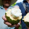 Gran blanco : le cacao secret du Pérou